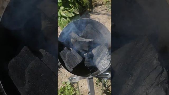 Стартер угля "weber" #weber#розжиг#уголь#мангал#природа#отдых смотреть онлайн
