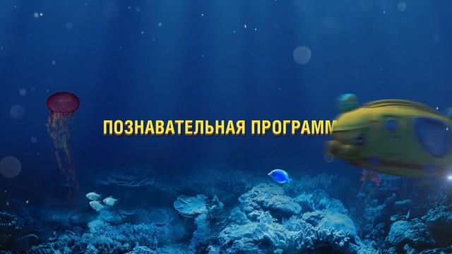 Шоу «Кругосветное путешествие» в Москвариуме! С 28 сентября! смотреть онлайн