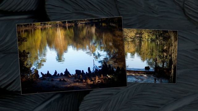 An October Walk in Swan Lake смотреть онлайн