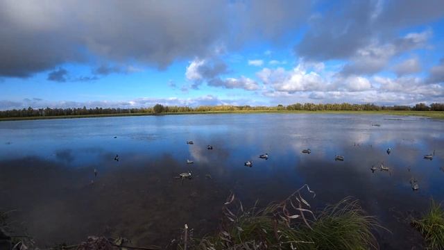 Попал на серую утку.Хмао-югра. смотреть онлайн