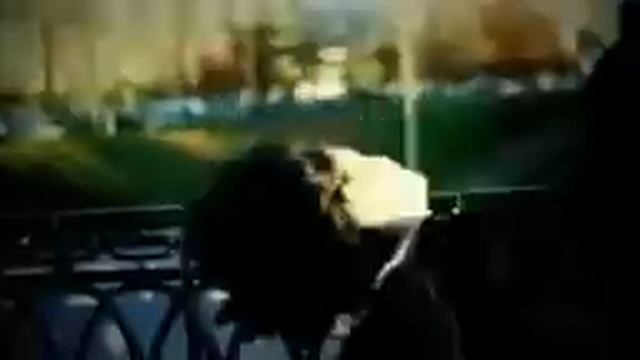 Life MC КП Ft Beliy-Запах на одежде