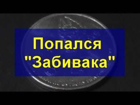 Попался "Забивака" или сюрприз после Нового Года.Got caught "Zabivaka" - surprise after the New Year смотреть онлайн