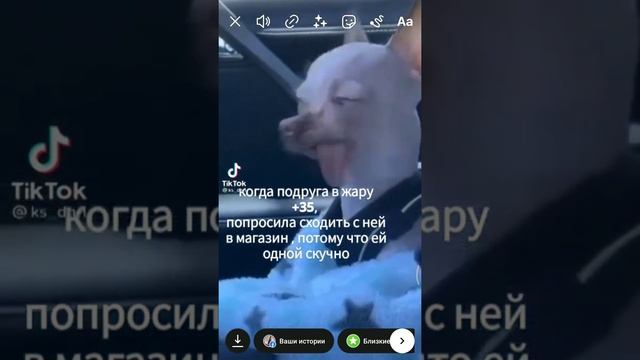 Как сохранить сторис черновик в Инстаграм смотреть онлайн