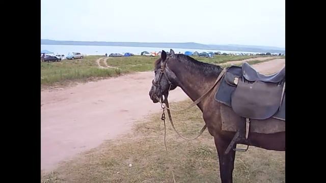 Озеро БЕЛЕ Хакасия смотреть онлайн