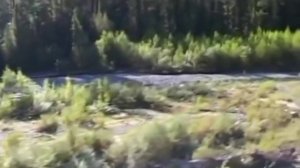 Лыковы Таежный тупик 1 и 2 части