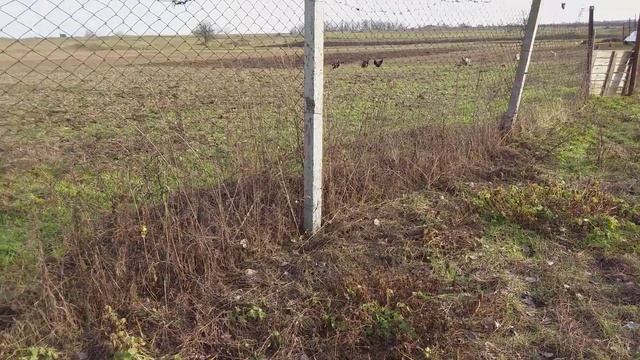 антенны 4g Patch-Yagi (пушка), сравнительный тест + антенна бесконтактная (подставка) смотреть онлайн