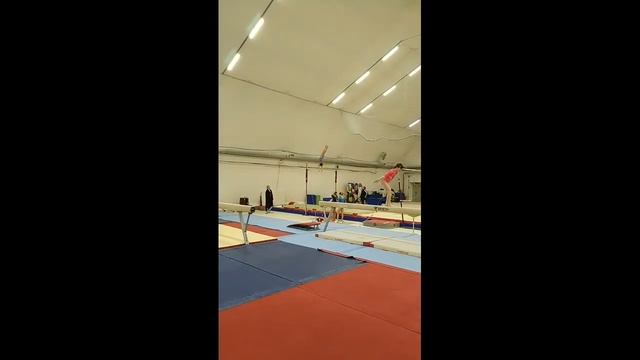 Первенство Санкт-Петербурга по спортивной гимнастике смотреть онлайн