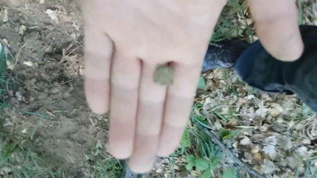 Коп на Закарпатье... пример самого обычного копа смотреть онлайн