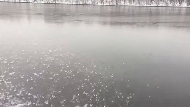 Гидроциклы, закрытие сезона 2016. смотреть онлайн