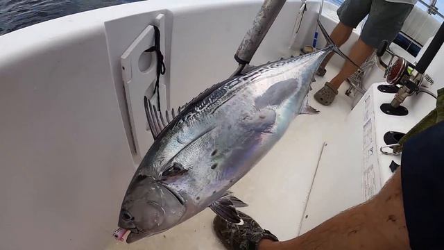 These Fish Were ANIMALS!! (Deep Sea Fishing Haul) смотреть онлайн