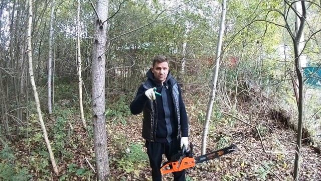 Участок в СНТ рядом с Новым Иерусалимом. Как продать участок, если его не видно? Константин Муравье смотреть онлайн