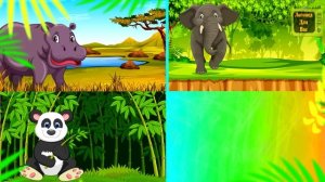 Загадки в Зоопарке. Угадай животных и птиц! Мультик для малышей 0+