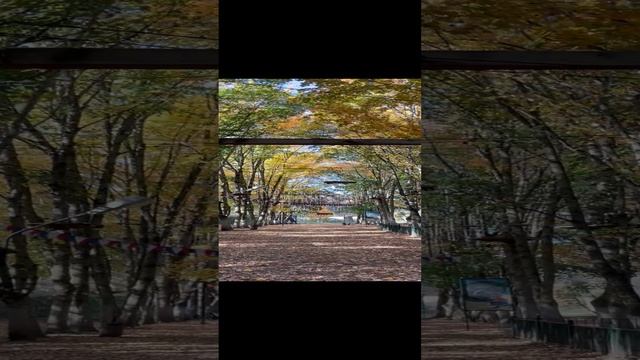 Армения . Дилижан .