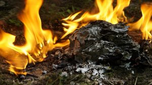 СЖЕЧЬ БЕДНОСТЬ...ДЛЯ ВСЕХ...