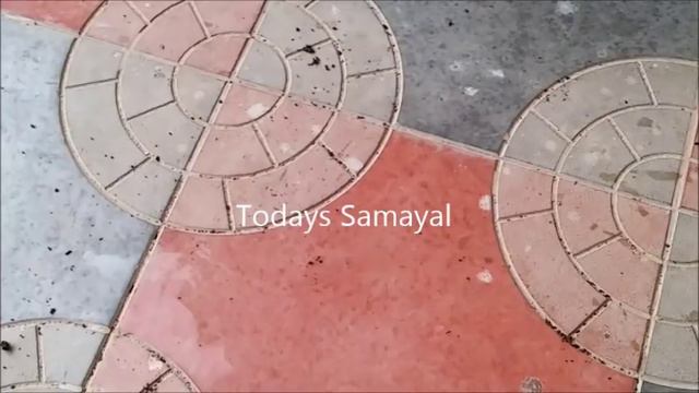 வல்லாரை கீரை மற்றும் வெந்தய கீரை செடி நன்கு வளர இதை மட்டும் செய்யவும் | GARDENING TIPS IN TAMIL смотреть онлайн