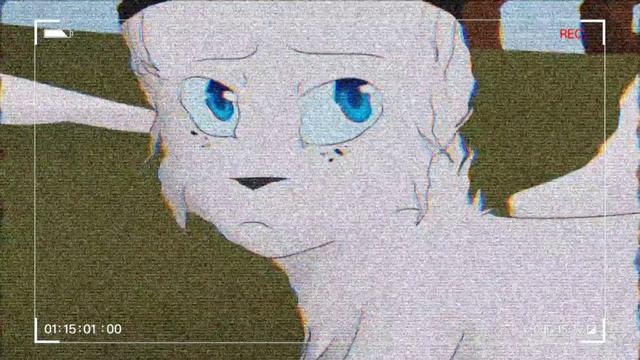 Коты воители (клип) ошибка : остролап и белогривка смотреть онлайн