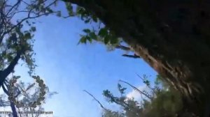 Уничтожение группы спецназа ВСУ, видео с трофейной камеры. Судьба владельца камеры очевидна.