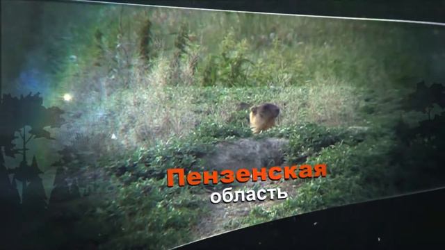 Группа компаний 