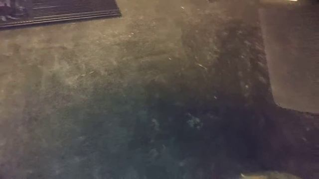 Dream Machines RX3070 (Clevo X170KM-G) Unboxing