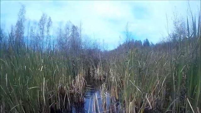 Охота на уток с подхода смотреть онлайн