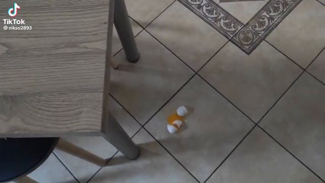 Этот ролик набрал 1.3млн просмотров на Тик Ток. 😀 #аншлаг #яйцо