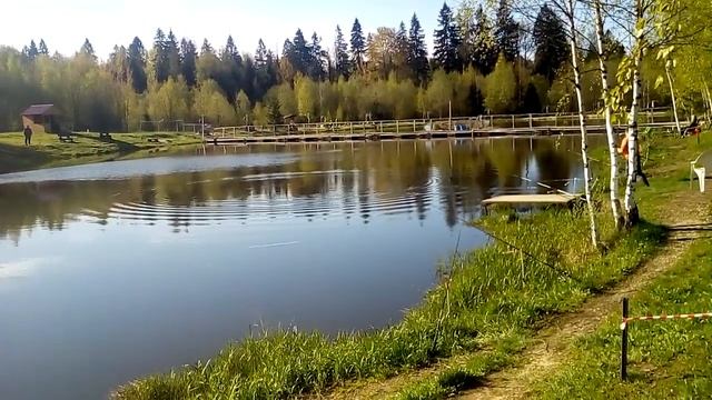 Платная рыбалка в Андрейково на Новорижском шоссе КРХ ТРИФОН смотреть онлайн