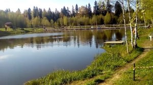 Платная рыбалка в Андрейково на Новорижском шоссе КРХ ТРИФОН