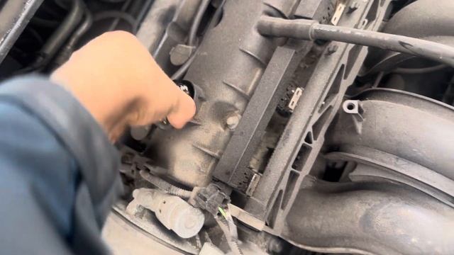 Разборка Ford - Focus 2 2005-2008, 1.6 (VIN: WF05XXGCD57U69476) GL57UZH смотреть онлайн