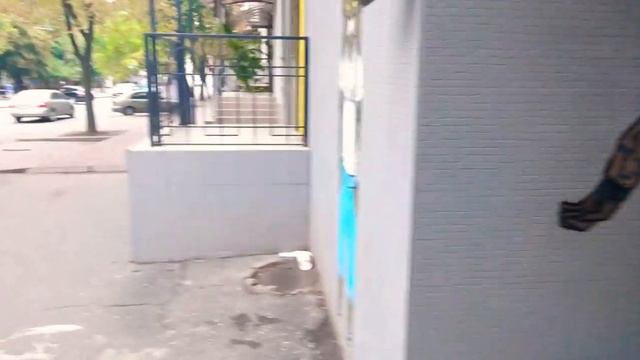 Новые Граффити Магазин Зоотовары Pet Shop Takeshi Street Art Odessa 2018 Big Cat and Dogs смотреть онлайн