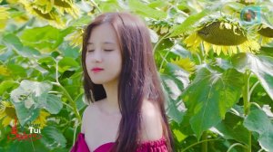 Hoa Tím Người Xưa, Ngàn Năm Tình Vẫn Đẹp - LK Nhạc Bolero TUYỆT ĐỈNH 1368 Bài Nhạc Lính Trước 75