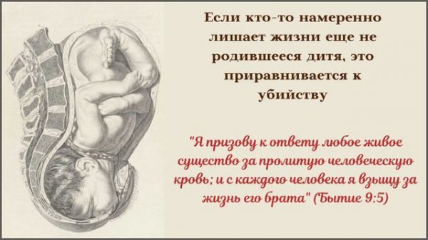 Ценность человеческой жизни