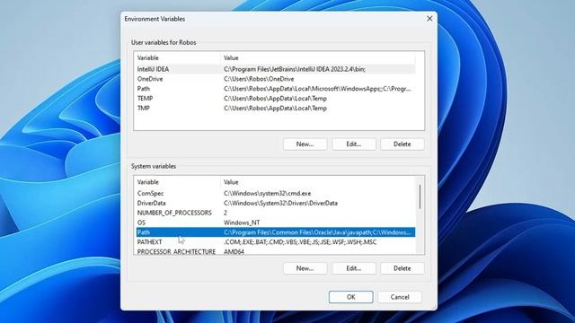 How to Properly Install LATEST Java JDK on Windows 10/11 (2023 NEW) смотреть онлайн