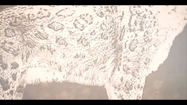 Tarih Öncesi Çağların Katili: Smilodon смотреть онлайн