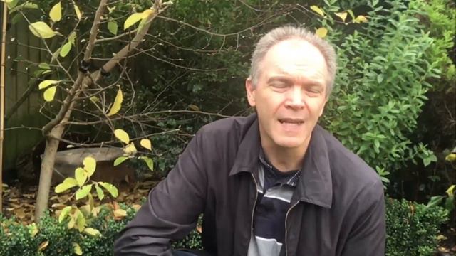 When do hedgehogs hibernate? | Hedgehog's Hollow смотреть онлайн