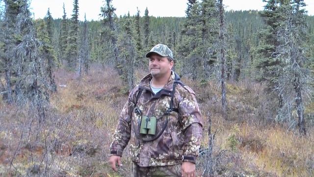 grizzly hunting BC смотреть онлайн