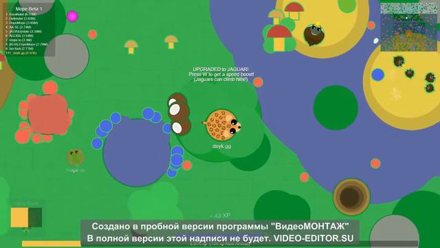 ВЫШЛО НОВОЕ ОБНОВЛЕНИЕ в Beta-Mope.io !
