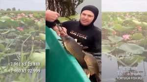 Рыбалка в Астраханской обл. п.Вышка. База "Тортуга"