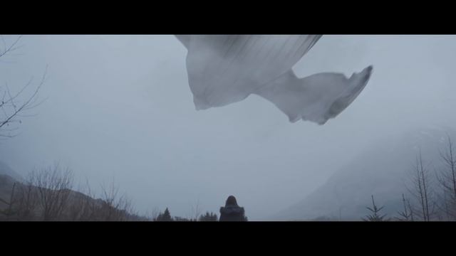 In memory of the 130 victims of the Blue Whale game смотреть онлайн