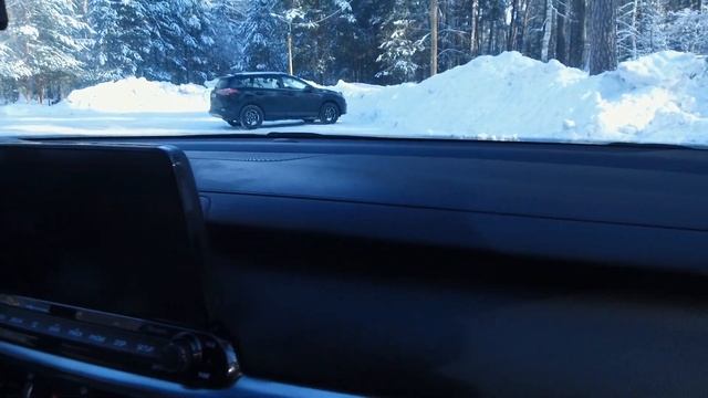 Очистка и уход за пластиком в салоне авто. 3D LVP Cleaner, 3D LVP Conditioner, Sonax CockpitPfleger смотреть онлайн