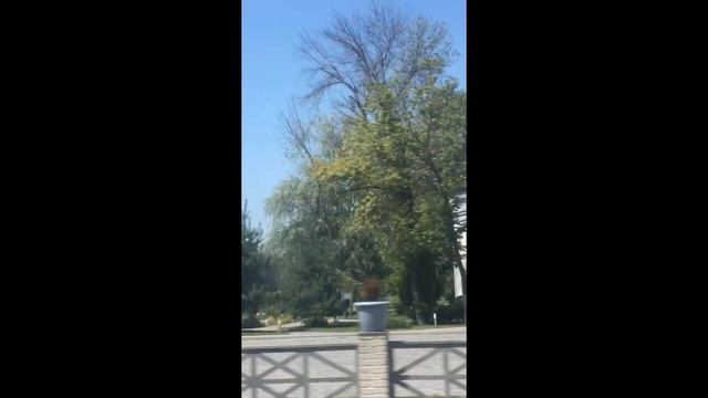 РОСТОВ-НА-ДОНУ. РЕКА ДОН. ЛЕВОБЕРЕЖНАЯ УЛИЦА БЛИЗ РОСТОВ-АРЕНА смотреть онлайн