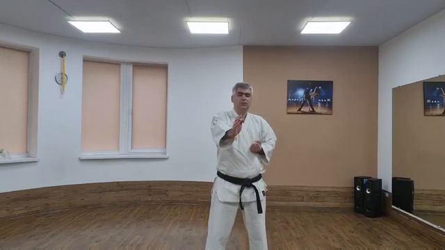 Удар рукой Gyaku-zuki смотреть онлайн