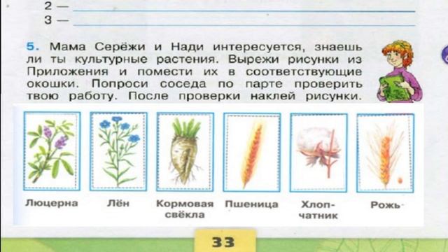 Окружающий мир. Рабочая тетрадь 3 класс 2 часть. ГДЗ стр. 33 №5 смотреть онлайн