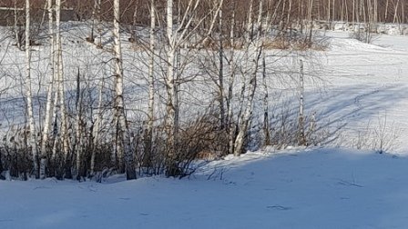 2.ФЕВРАЛЬ.МАСЛЕНИЦА..mp4 смотреть онлайн