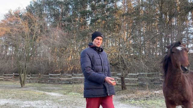 Приручаю жеребца Грома Дикий Конь смотреть онлайн