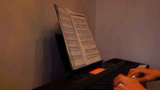 Grasswalk Piano Cover смотреть онлайн
