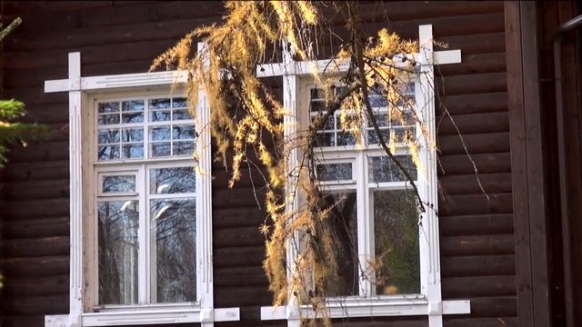 Life: Петухова дача в Краснозаводске смотреть онлайн