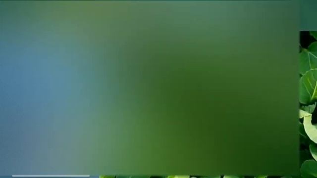 Bayer Confidor Super Insecticide |Imidacloprid |whitefly Control |Confidor Super Insecticide