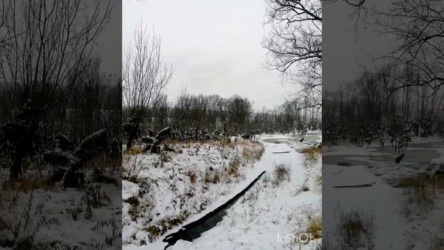 Частоостровское. на Енисее. смотреть онлайн