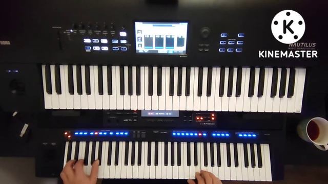 Horizon - Eigene Komposition - Yamaha SX 900/Korg Nautilus смотреть онлайн