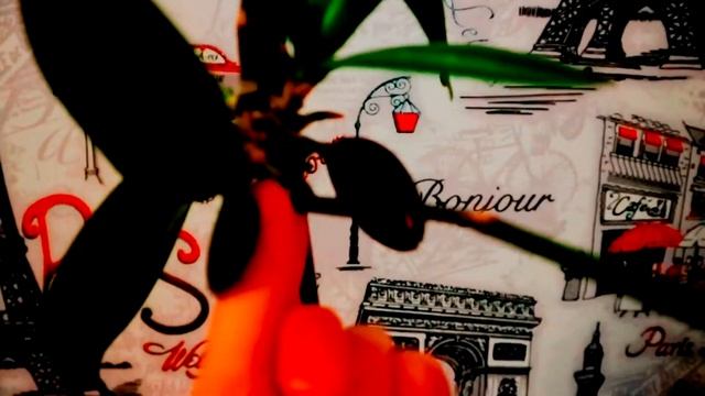 Деточка орхидеи мутант. Несколько деточек орхидеи с одной почки. Деточка пустила цветонос. смотреть онлайн